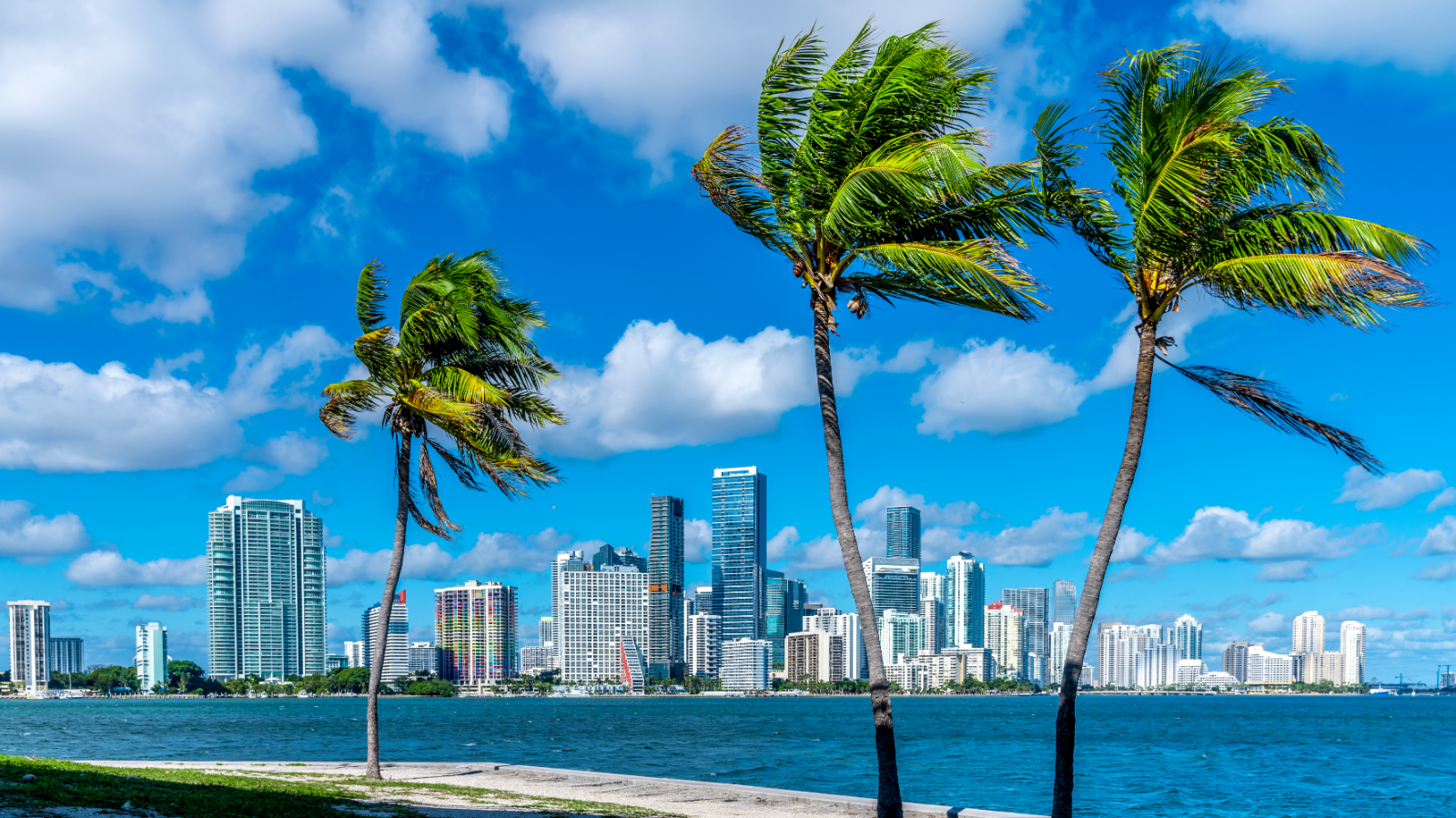  Miami Pre y Post Crucero