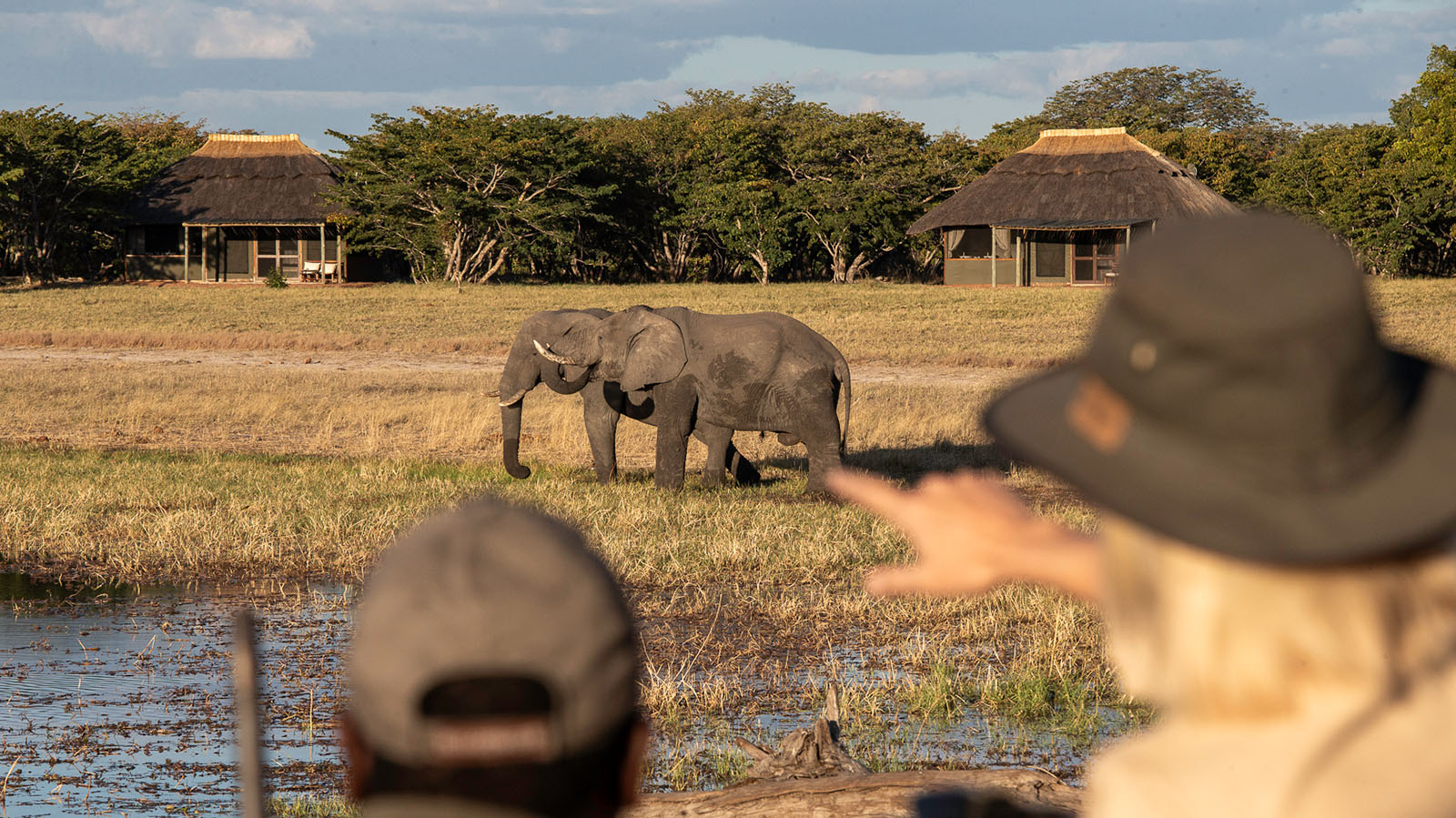 El Gran Safari de Tanzania 