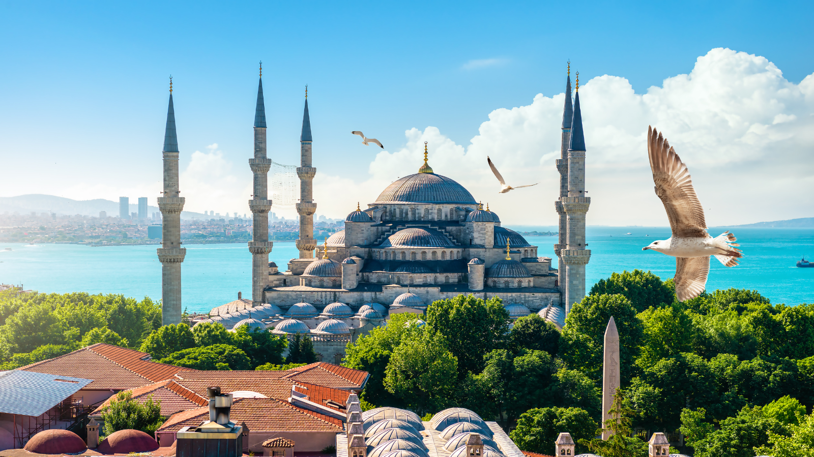 Turquía a Orillas del Egeo
