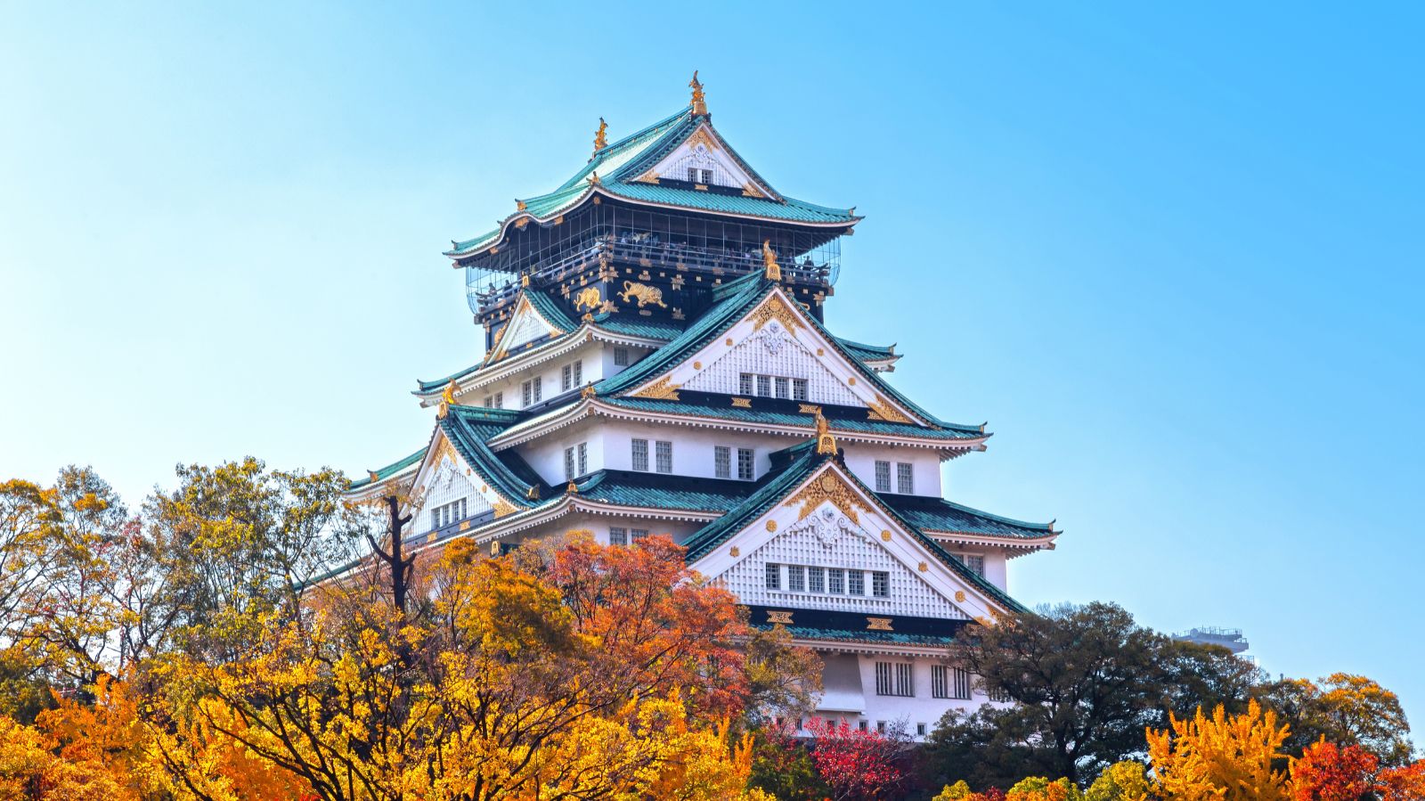 Esencias de Japón 2027