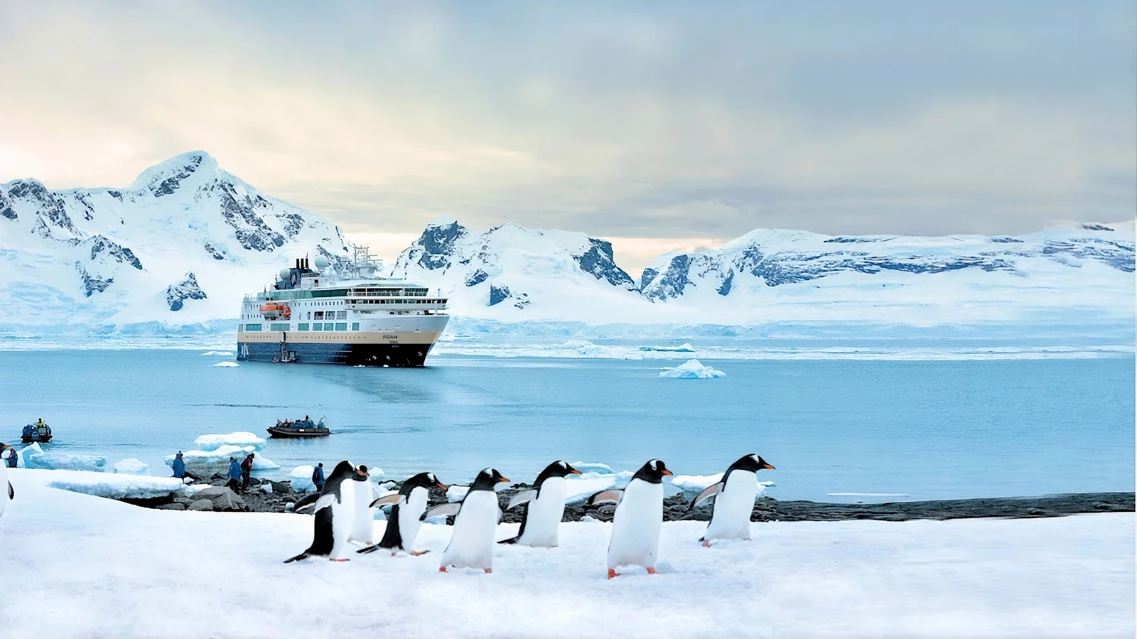 HX Expeditions Antartida