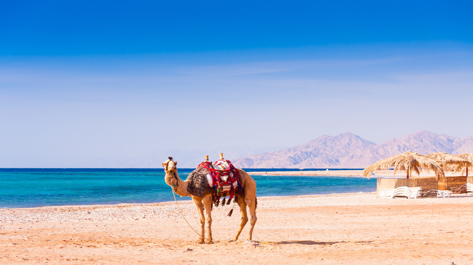  Travesía Faraónica con Hurghada